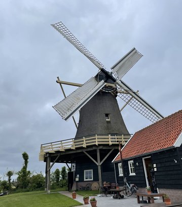 Afbeelding met windmolen, buitenshuis, hemel, gras

Automatisch gegenereerde beschrijving