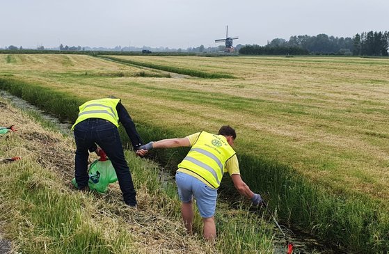 Afbeelding met gras, buiten, lucht

Automatisch gegenereerde beschrijving