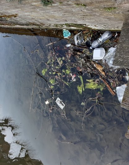 Afbeelding met buiten, natuur

Automatisch gegenereerde beschrijving