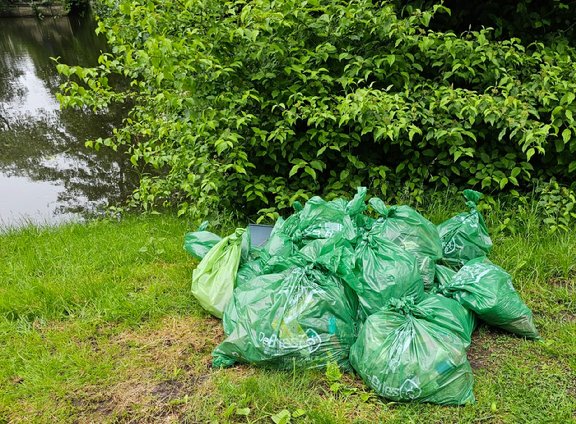 Afbeelding met buitenshuis, gras, plant, boom

Automatisch gegenereerde beschrijving