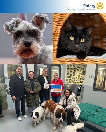 Afbeelding met huisdier, hond, kleding, persoon

Door AI gegenereerde inhoud is mogelijk onjuist.